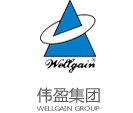 偉盈集團